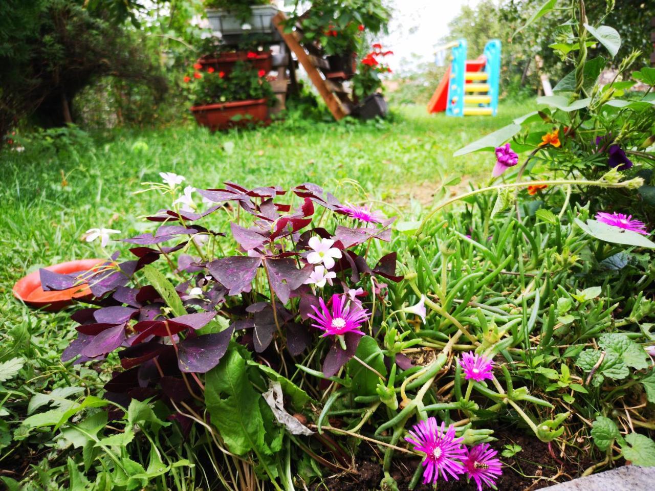 Family Apartment With Garden 塞拉耶佛 外观 照片