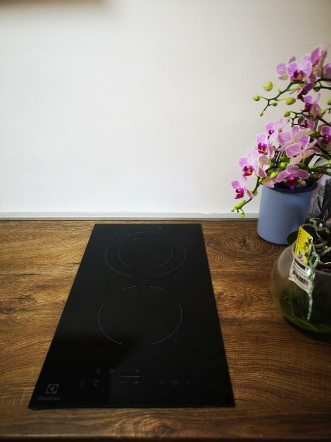 Family Apartment With Garden 塞拉耶佛 外观 照片