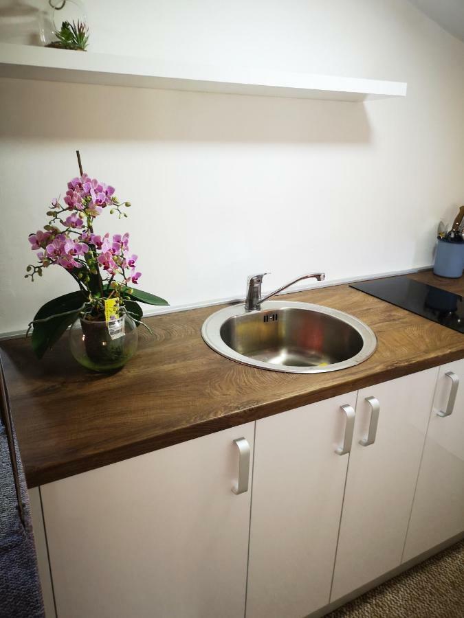 Family Apartment With Garden 塞拉耶佛 客房 照片