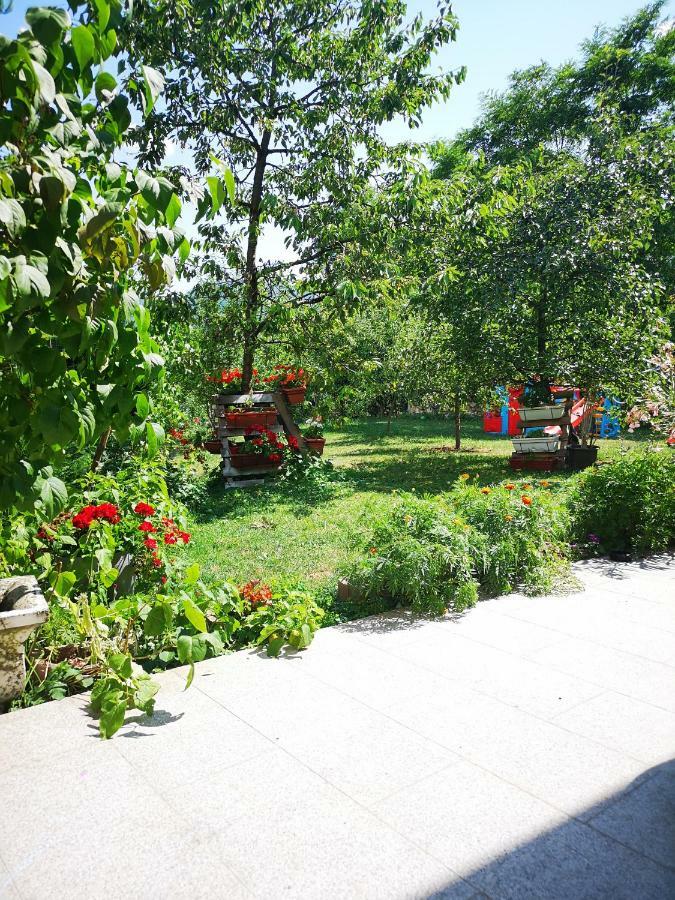 Family Apartment With Garden 塞拉耶佛 外观 照片